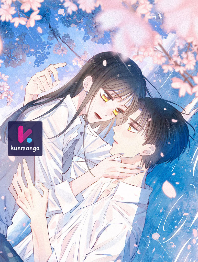 Hydrangea Melancholy