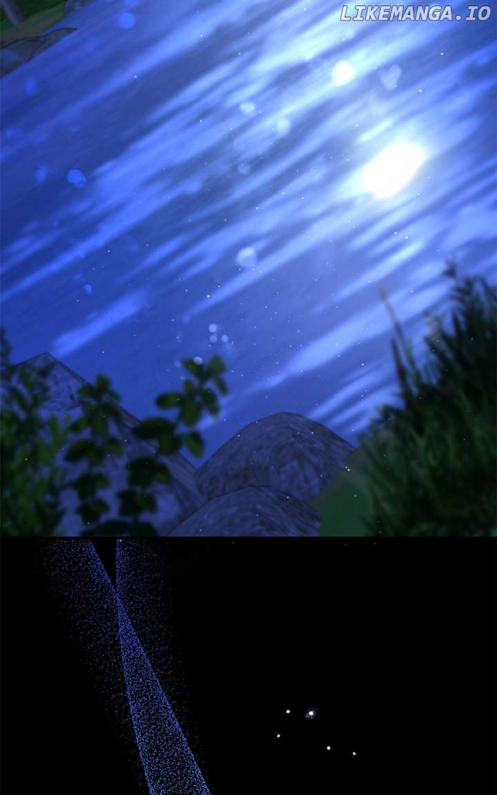 Don’t Grab the Broken Branch  28 page 50
