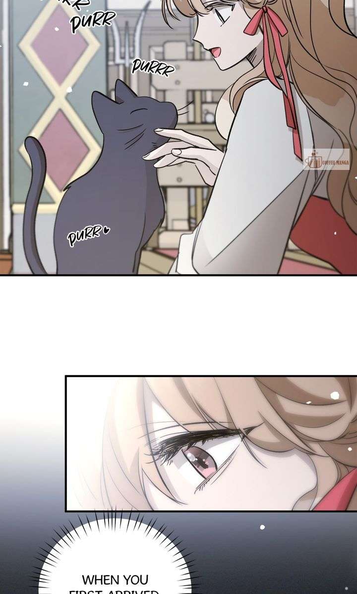 Dragondaily - الفصل 71 - 50