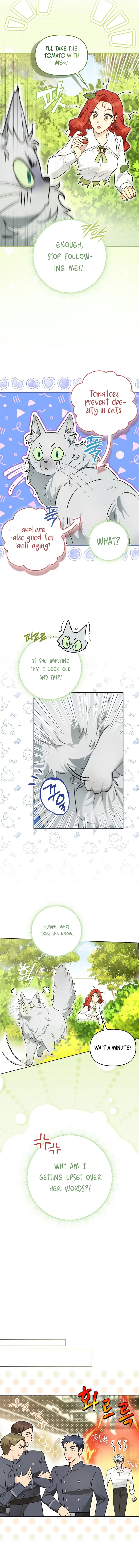 Even Though I Transmigrated as a Villainess, I’d Rather Raise a Cat 9 page 3
