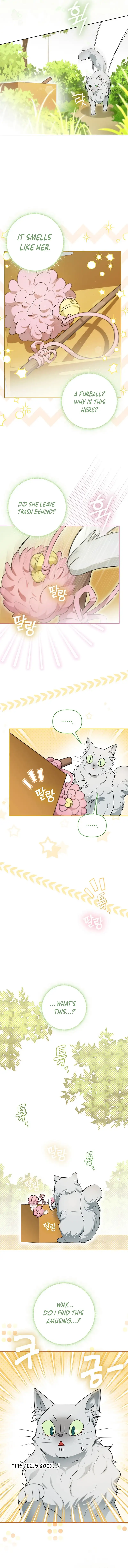 Even Though I Transmigrated as a Villainess, I’d Rather Raise a Cat 9 page 6