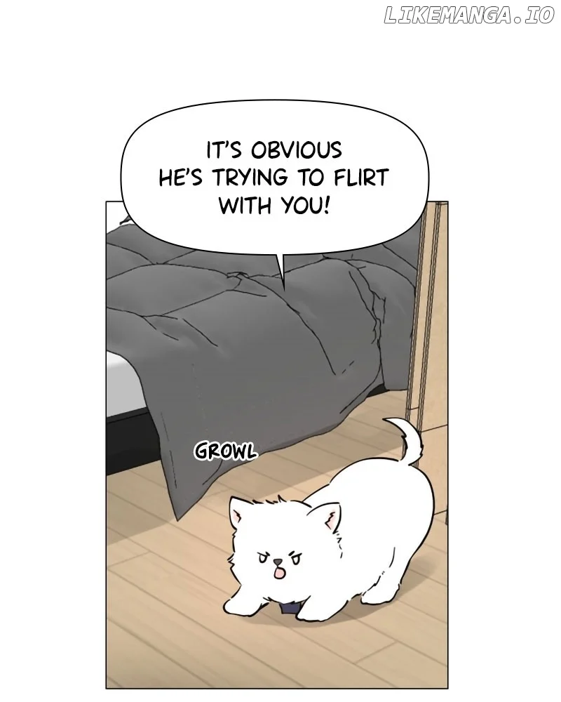 How to Hold X’s Leash  20 page 17
