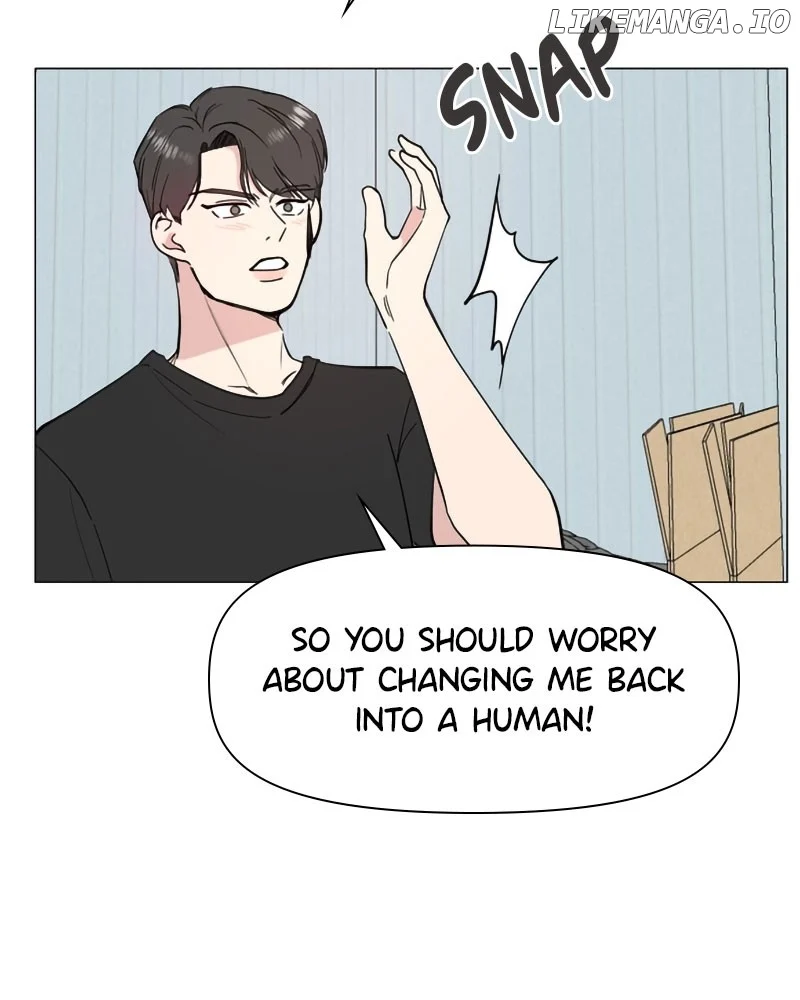 How to Hold X’s Leash  20 page 41