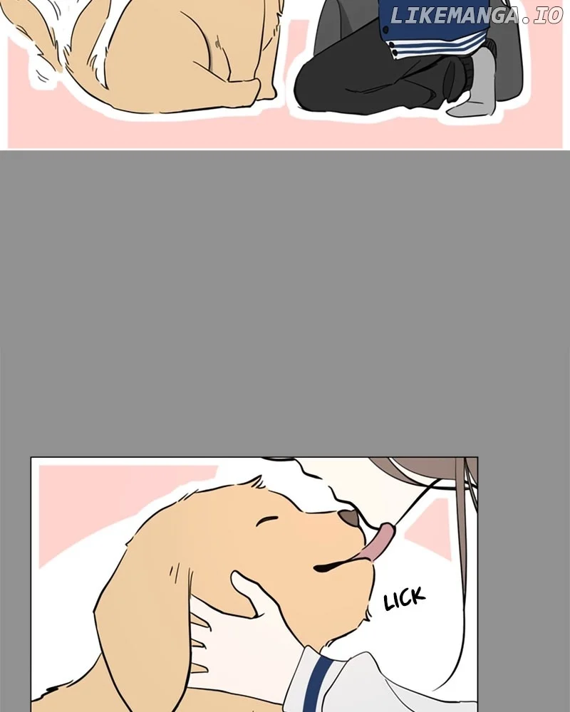 How to Hold X’s Leash  20 page 74
