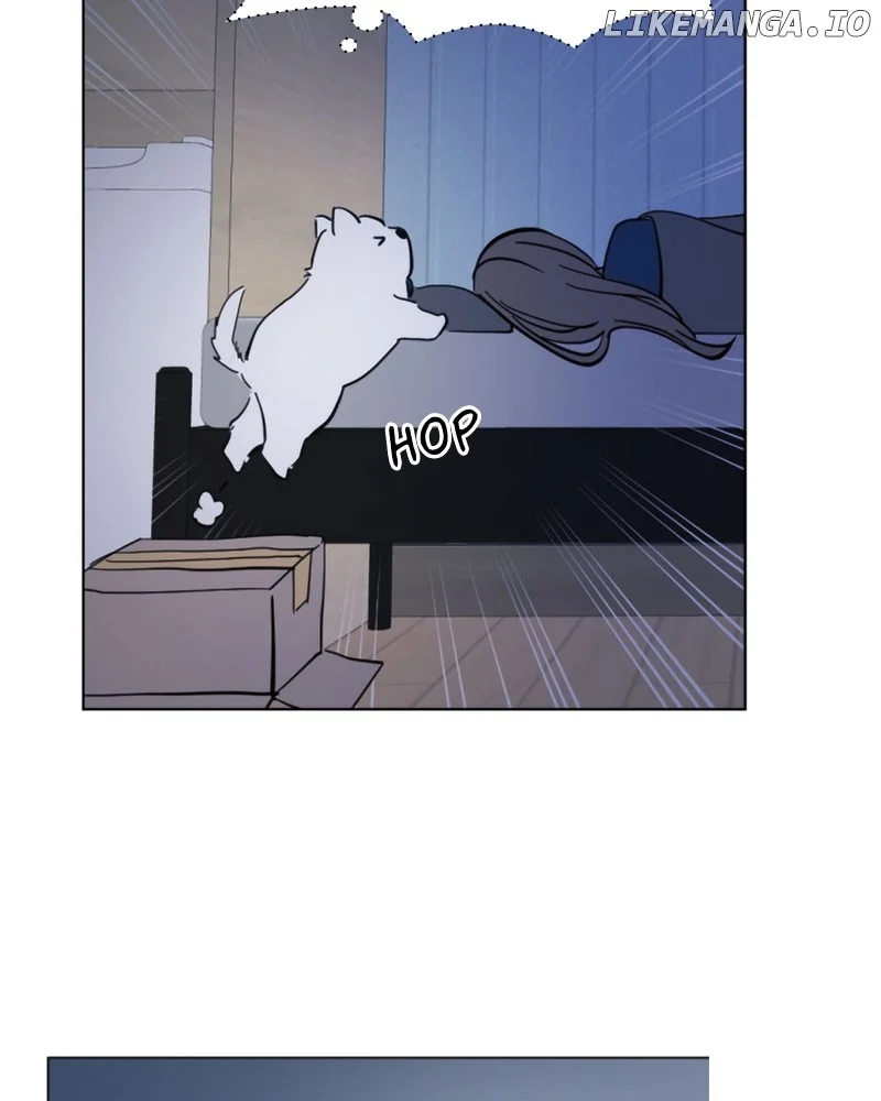 How to Hold X’s Leash  20 page 116