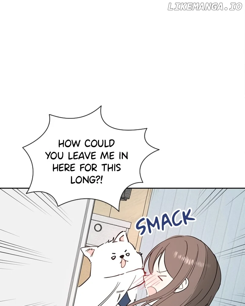 How to Hold X’s Leash  7 page 43