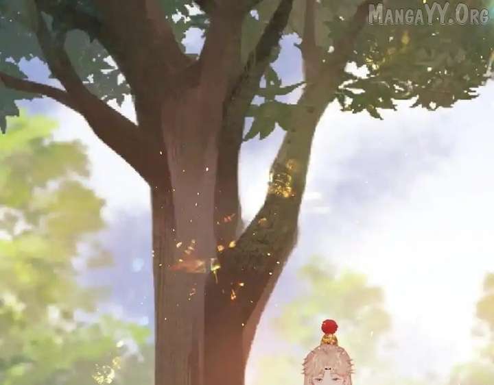 Shao Hua Long: Rebirth of the Evil Concubine’s Counterattack Chapter 27 - Page 19