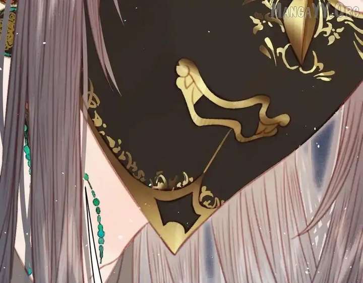 Shao Hua Long: Rebirth of the Evil Concubine’s Counterattack Chapter 27 - Page 119