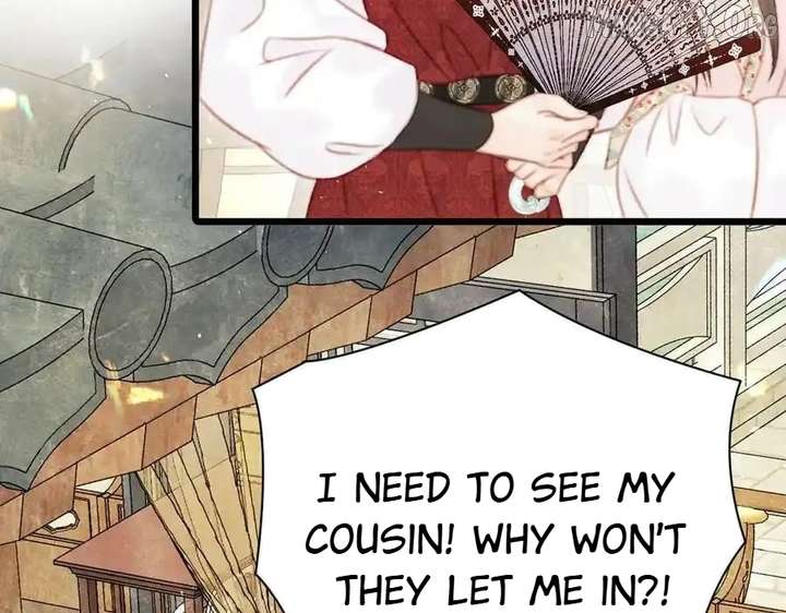 Shao Hua Long: Rebirth of the Evil Concubine’s Counterattack Chapter 27 - Page 219