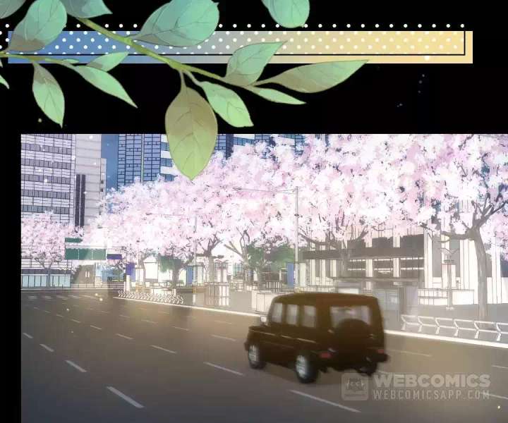 The Substitute Bride And The Overly affectionate Husband Chapter 65 - Page 91