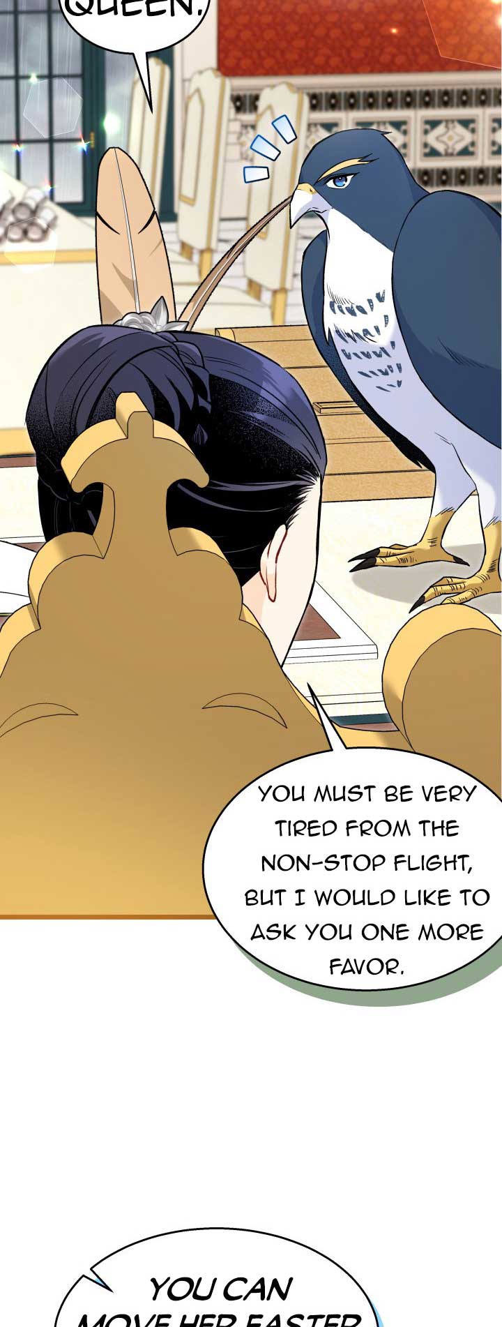 The Symbiotic Relationship Between the Rabbit and the Black Panther 121 page 3