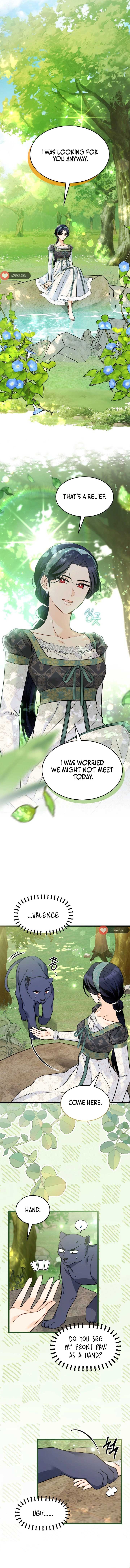 The Symbiotic Relationship Between the Rabbit and the Black Panther 153 page 3