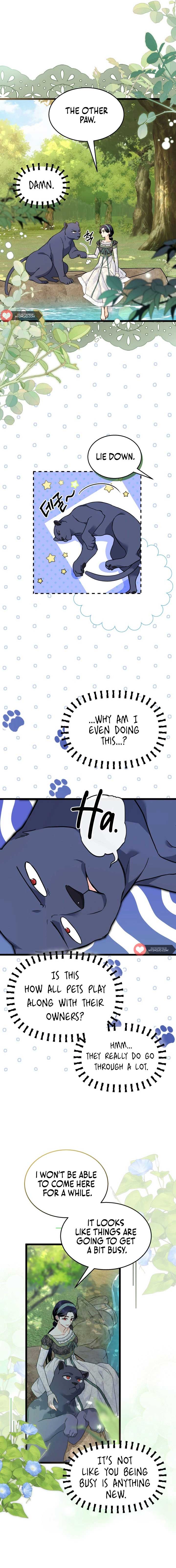 The Symbiotic Relationship Between the Rabbit and the Black Panther 153 page 4