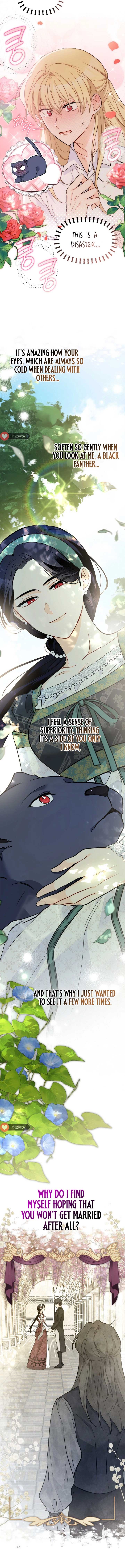 The Symbiotic Relationship Between the Rabbit and the Black Panther 153 page 11
