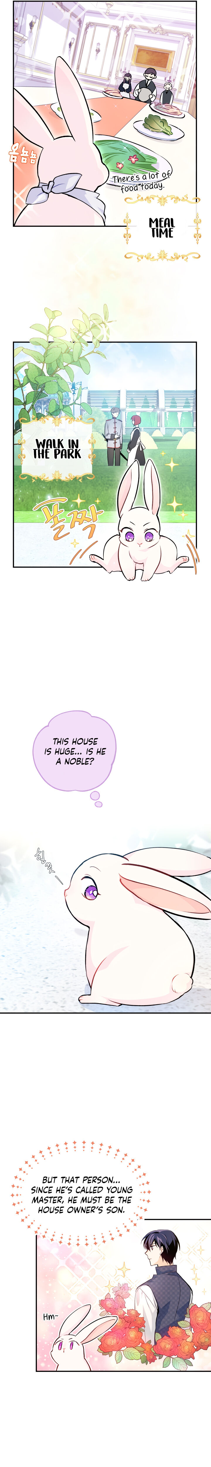 The Symbiotic Relationship Between the Rabbit and the Black Panther 3 page 11