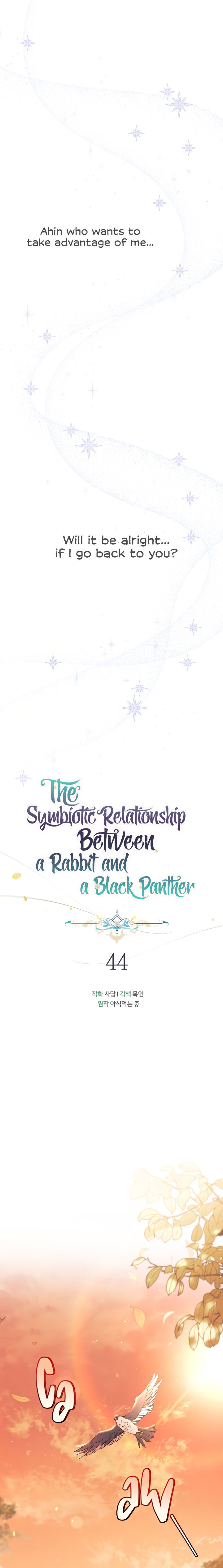 The Symbiotic Relationship Between the Rabbit and the Black Panther  44 page 5